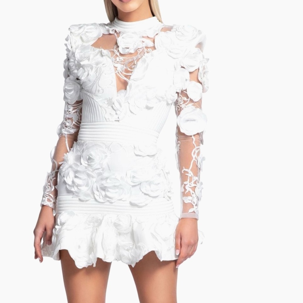 Zhivago The Vendetta mesh floral appliqué mini dress- White - Size 2 or 0